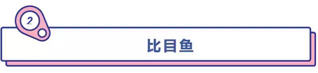 想瘦不能错过！10大高蛋白食物，让你减脂速度翻倍！