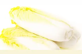 常吃娃娃菜对身体好，但娃娃菜有两大禁忌，早知早受益视频封面