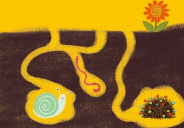 宝宝学画画教程：地下小动物