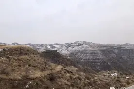 山西临县：产业拓宽扶贫路图片