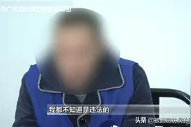 家庭饲养鹦鹉，竟获刑一年，网友：饲养大型鹦鹉牢底坐穿图片