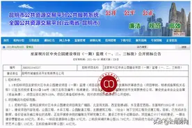 巫家坝中央公园将分期启动 一期5月开建投入48.93亿元图片