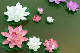 夜深时分，尽量不要与异性发这样的“信息”，很容易让对方误会图片