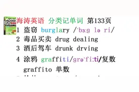 图文分类记单词第133页：盗窃burglary图片