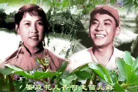 《柳堡的故事》：“十八岁的哥哥”已远去，“二妹子”说还想念他图片