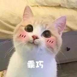 外地户口，没有学历，如何落户成都？
