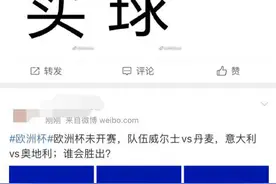 欧洲杯赌球调查：高仿网站横行，高利润诱惑玩家入局图片