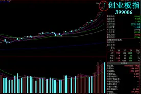 行情回调热度不减，是低吸还是出局？图片