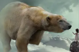 你几月出生，你就属于什么动物。图片