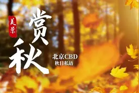 北京CBD秋日私语图片