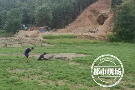 1400斤水牛深陷泥潭，它还怀了孕！村民救它时也被困住图片