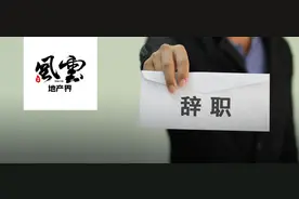 最年轻副总裁离职，远洋集团恐跌出TOP30？图片