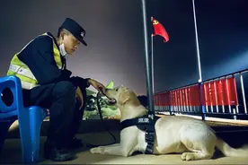 缉毒警犬新一的硬核养成记图片