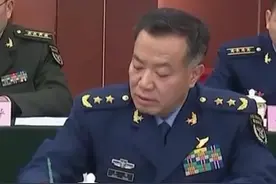 西部战区副司令员王强中将，兼任战区空军司令员图片