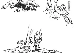 松树画法教程——松根的画法图片