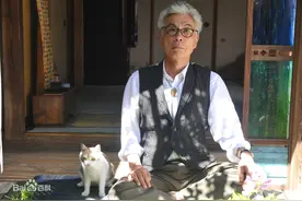 那些流浪猫教会我的事图片