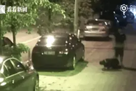 男子殴打保安半小时，叫嚣“我爸是公安局副局长”？警方通报图片