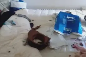 又一起热水器爆炸！女主人身亡！事发遵义，事故原因还在调查中图片