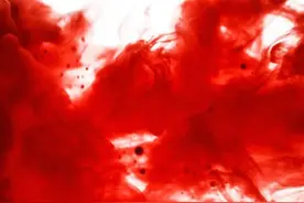 血稠就是高血脂吗？这样的说法正确吗？图片