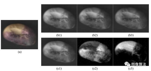 基于机器视觉技术快速准确地确定收获后干大豆种子的品质