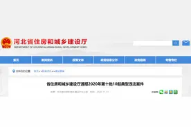 最新！河北通报10起典型违法案件图片