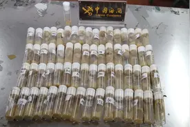 来自美国的奇怪包裹被查获，含7000多只黑腹果蝇！暗藏什么危机？图片
