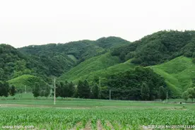 沧州只有这一座山，海拔36米，却有很多凄美的故事图片