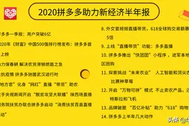 《2020拼多多助力新经济半年报》发布——拼多多带火新助农 红了县域火了农货图片