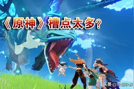 玩家吐槽《原神》槽点太多，五星角色只能看脸，希望米哈游改进图片