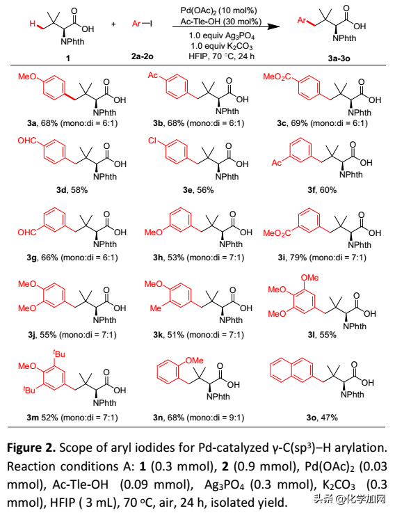 浙大史炳锋课题组Chem. Sci.：合成含大体积侧链的氨基酸和多肽
