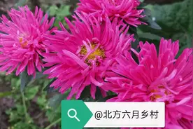 大伯嫂的持家之道图片