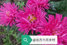 大伯嫂的持家之道图片