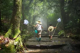 想回到小时候，那安逸又无聊的夏天图片