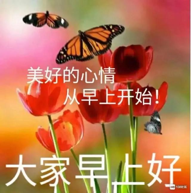 若，人走茶凉，就守心自暖；若，曲终人散，就安享经年，早安