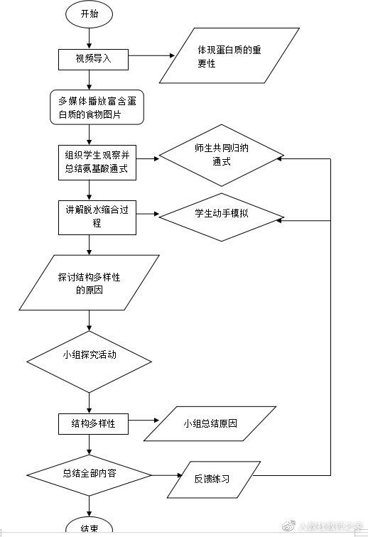 苏教版高中生物必修第一册《蛋白质的结构和功能》教案课件视频