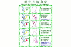 母胎RH（熊猫血）血型不合溶血病全攻略图片