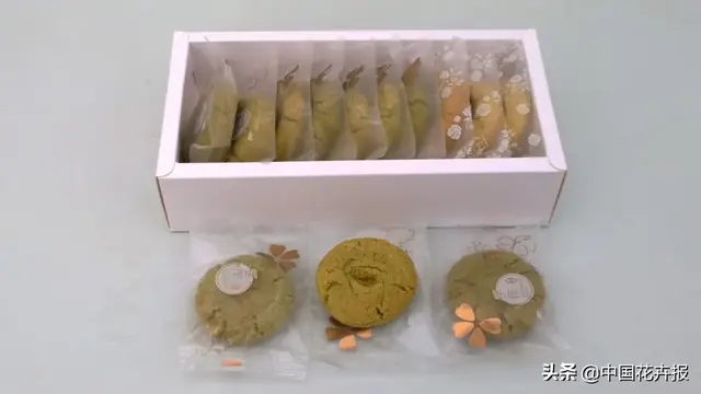 北国杏花初绽，江南已是油菜花漫山，“可甜可盐”的彩色油菜花，爱了！