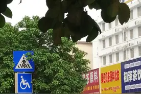 一早，在南宁街头，碰到一个拿水烟筒的大叔，劲图片