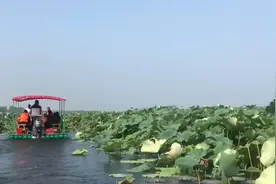 大V深情告白：“我期待再次来到沈阳！”图片
