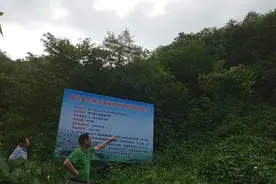 玉林旱情严重，陆川县再次供水不足，广西人大常委会委员呼吁推动桉树退出水源地图片