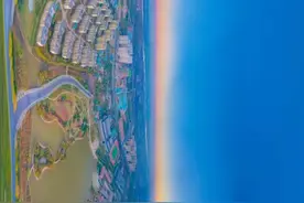 什么是“快乐星球”，小伊来带你研究！图片