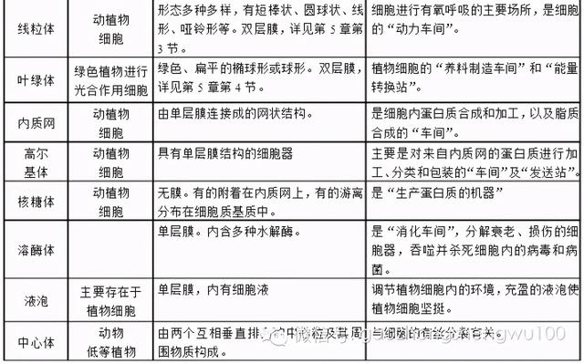 高中生物：易错易混知识点对比，搞懂别再错啦