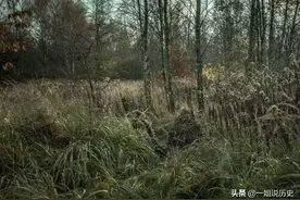 6张图都隐藏着一名狙击手，能一眼看出的人，很有潜力当飞行员图片