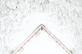 全山东下大雪！太美了！图片