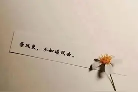 借呗一夜之间关闭了图片