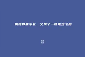 嘎嘎冷的东北楼市，又挨了一顿电炮飞脚图片