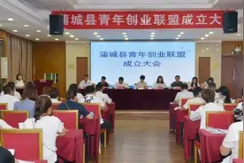 蒲城县青年创业联盟成立大会暨培训会议成功召开图片