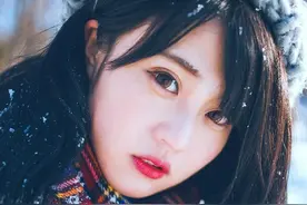 梅须逊雪三分白，雪却输梅一段香图片
