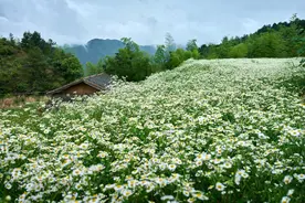 人虽少情却暖：走进深山中孤独的村庄，仅有两户居民三个人图片