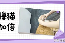 同样是撸猫，为什么女性会感觉更愉悦？图片